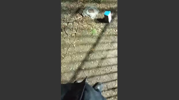 Asasass 23-11-2025 Recorded Video Video