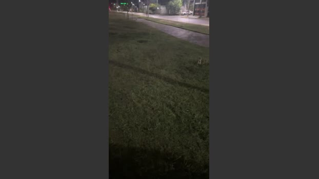 Laoquedad 23-11-2025 Recorded Video sexybody