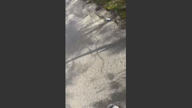 Setubal201 23-11-2025 Recorded Video sexymale