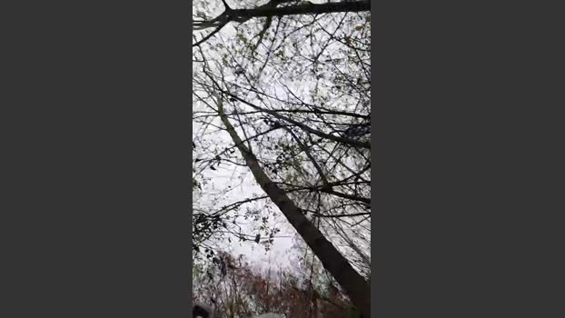 Socke72 23-11-2025 Recorded Video natural