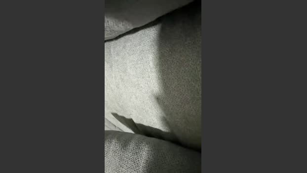 chavalotemorbo 22-11-2025 Recorded Video sex