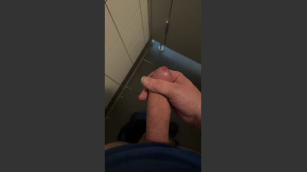 Dickersw02 24-11-2025 Recorded Video toy