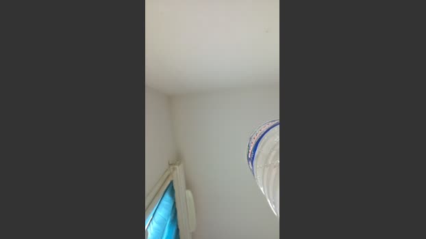 Zabu09 24-11-2025 Recorded Video bigballs