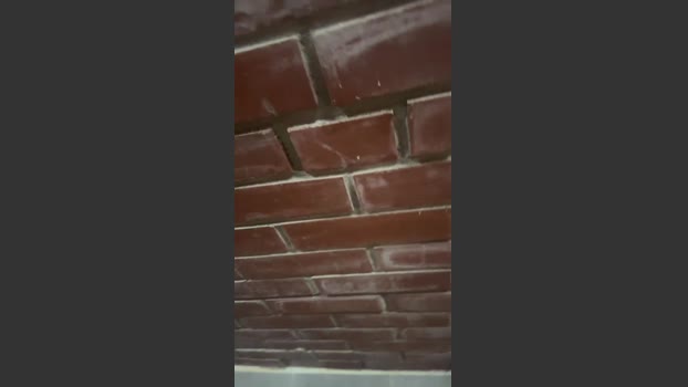 gggg87872 23-11-2025 Recorded Video lick