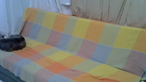 Mariokurt 24-11-2025 Recorded Video wank