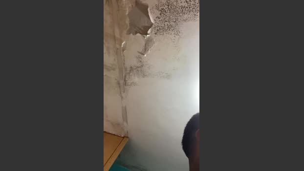Maxxii09 25-11-2025 Recorded Video twink