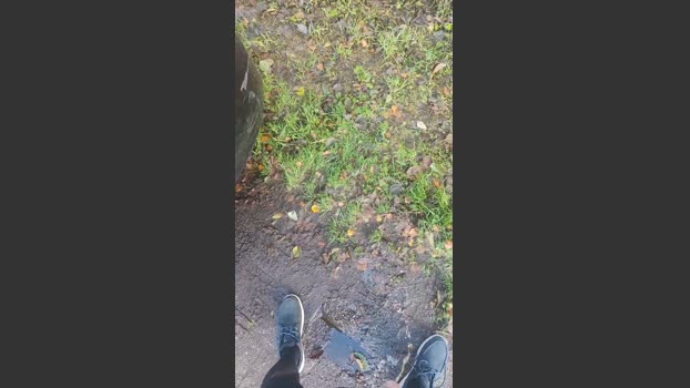 Slaafdez 25-11-2025 Recorded Video fuckass
