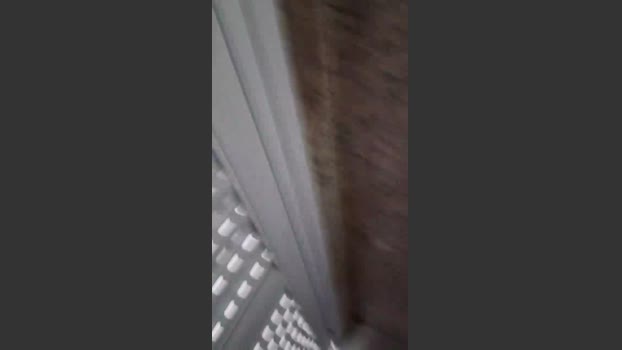 safadoloko 24-11-2025 Recorded Video prettyface