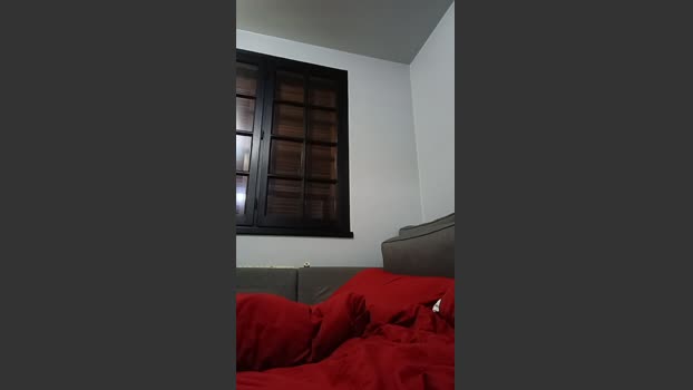 Dickwolf91 25-11-2025 Recorded Video suckcock