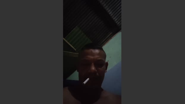 Gata_y_gato 26-11-2025 Recorded Video strip