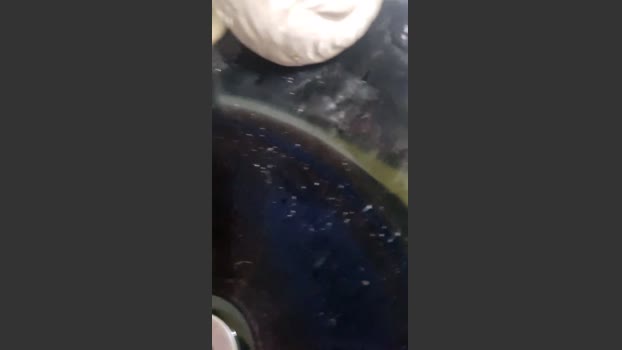 Misteriosoamor 26-11-2025 Recorded Video beautiful