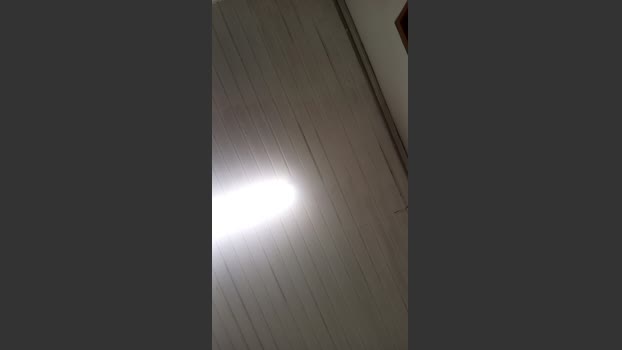 brazilnovo 26-11-2025 Recorded Video natural