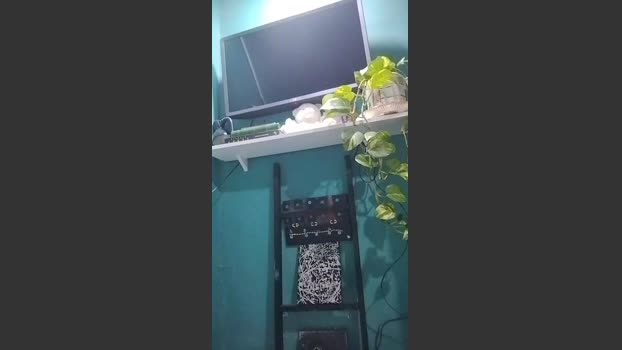 jose34619 26-11-2025 Recorded Video yummy