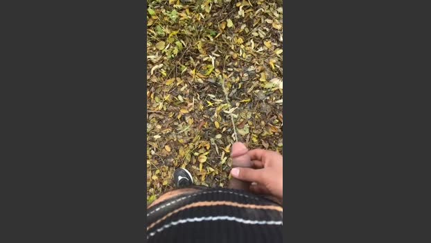 porcobg18 26-11-2025 Recorded Video Topless