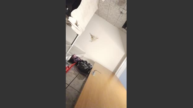 tavi_abrao_hot 27-11-2025 Recorded Video Porn