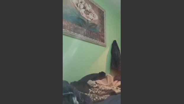 Bhsd 27-11-2025 Recorded Video bigdick