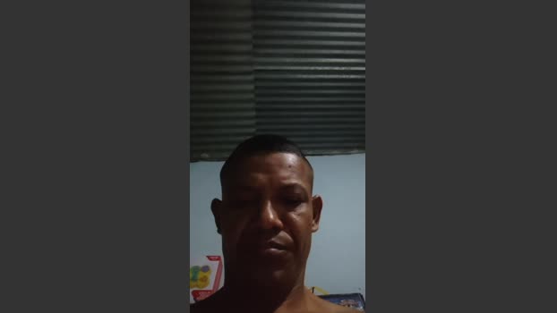 Gata_y_gato 28-11-2025 Recorded Video bicurious