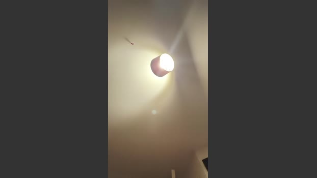 Gingerr_beard 27-11-2025 Recorded Video fuckme