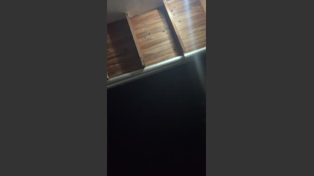 Gonzaycaro 28-11-2025 Recorded Video toy