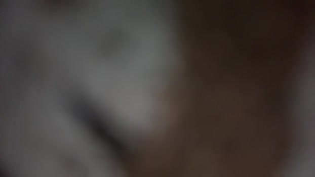 Pabloysebas 27-11-2025 Recorded Video oral