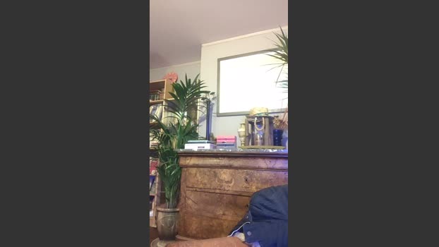 kiki33000 27-11-2025 Recorded Video lush