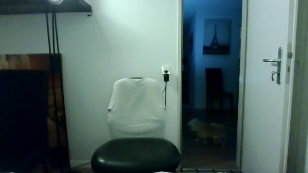 ALPHA_HUNK 29-11-2025 Recorded Video legs
