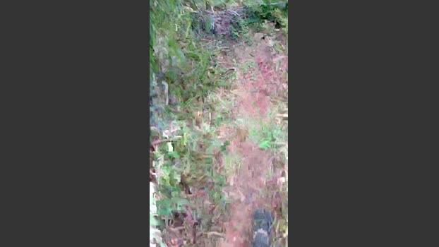Daddy_capixaba 29-11-2025 Recorded Video Download