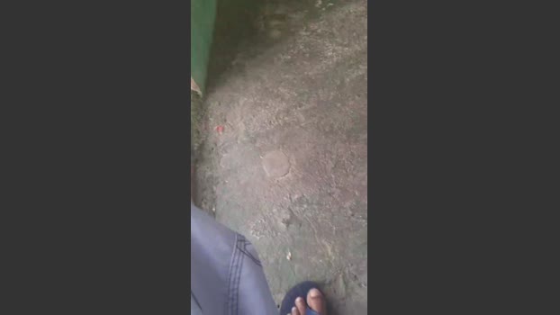 IrmaosPutao 28-11-2025 Recorded Video blowjob
