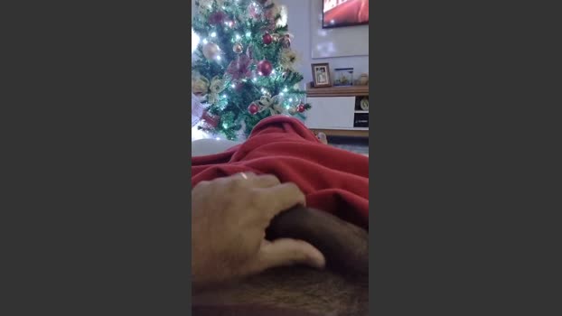 cunha3 29-11-2025 Recorded Video ass
