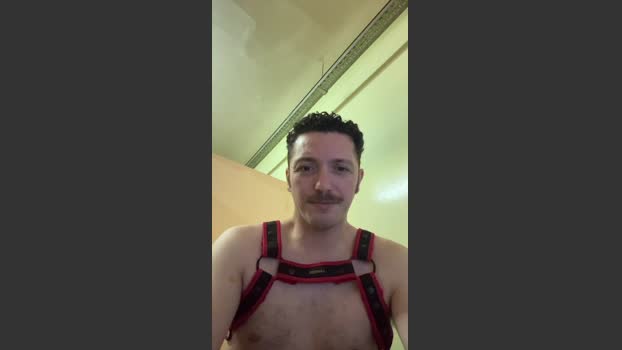 divad88 28-11-2025 Recorded Video analtoy