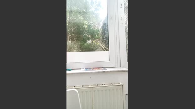 jef34 29-11-2025 Recorded Video jerkoff
