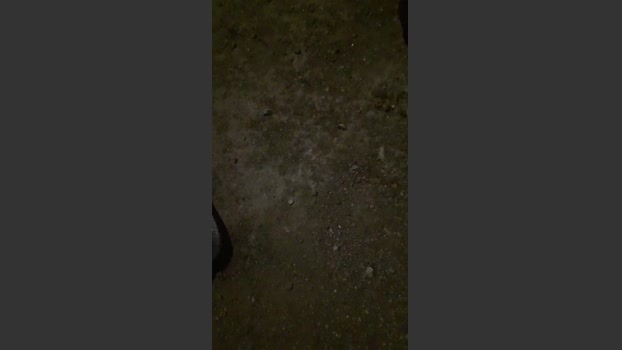 IrmaosPutao 30-11-2025 Recorded Video deep
