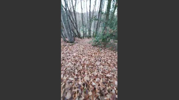 Legtiste 29-11-2025 Recorded Video naughty