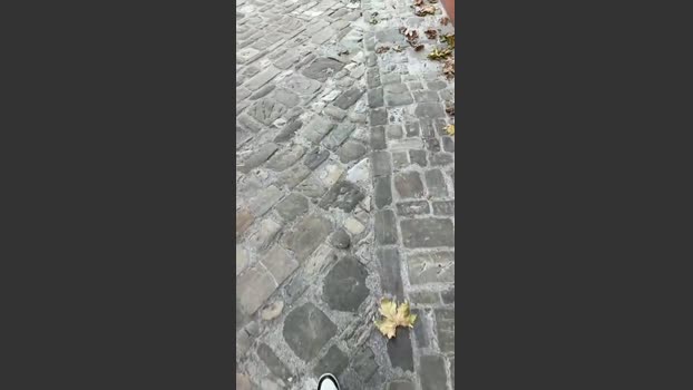 lucapublic 30-11-2025 Recorded Video kiss