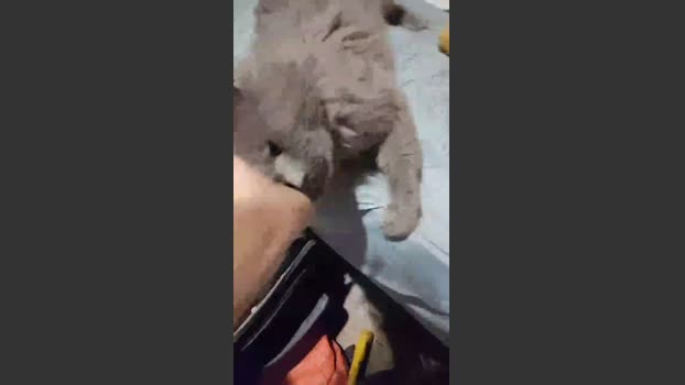 richie00731 30-11-2025 Recorded Video fuckass