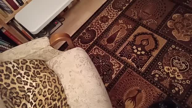 weed_whacker 29-11-2025 Recorded Video gag