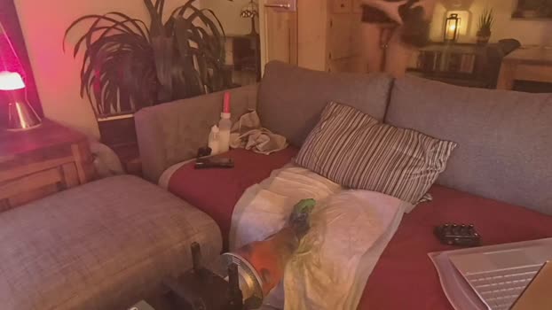 Der7tePlanet 30-11-2025 Recorded Video bj-dildo