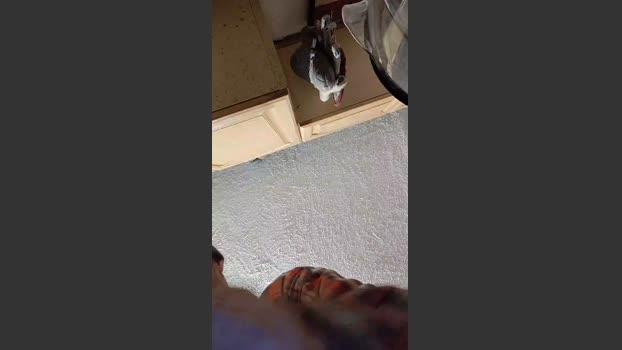 richie00731 01-12-2025 Recorded Video Porn