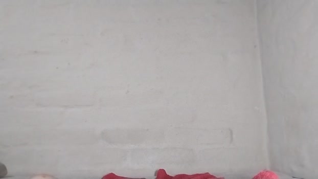 DiePeludoMorbo 02-12-2025 Recorded Video hard