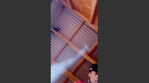 Nuevo69 01-12-2025 Recorded Video cute
