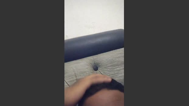 mgzin 02-12-2025 Recorded Video gay