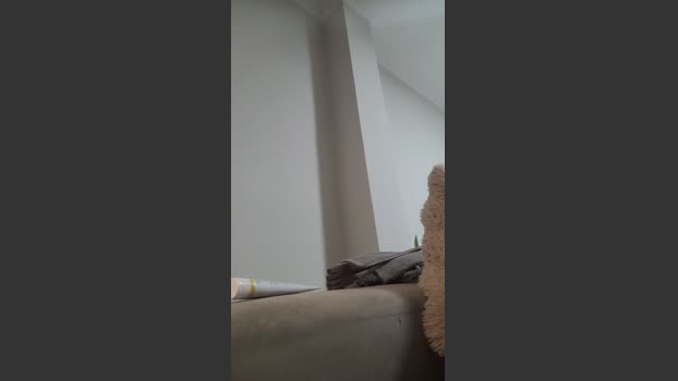 mnBrown 02-12-2025 Recorded Video jerkoff