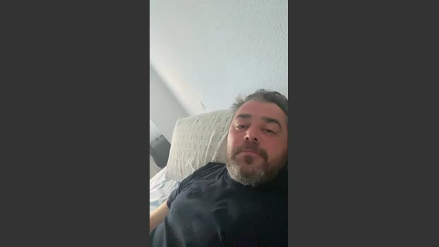 Tulipan79