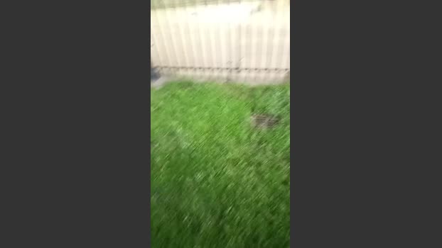 Asasass 04-12-2025 Recorded Video harddick