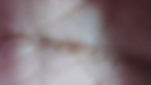 DiePeludoMorbo 04-12-2025 Recorded Video fuckme