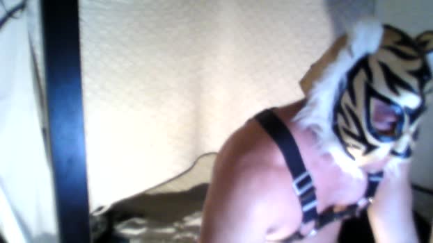 ken_mass 04-12-2025 Recorded Video amateur