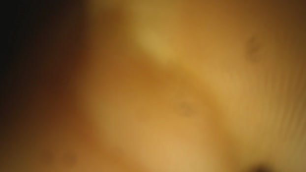AkyLu920Cata 05-12-2025 Recorded Video toys
