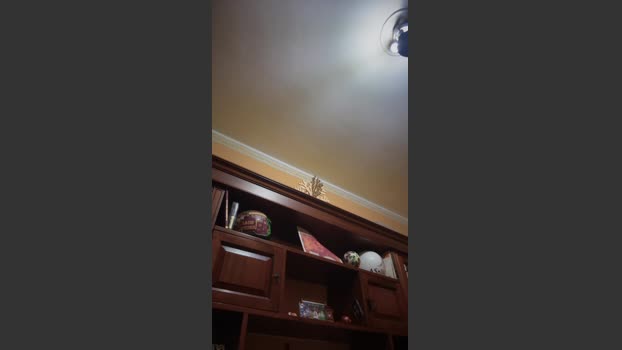 Dandiroma93 05-12-2025 Recorded Video moan