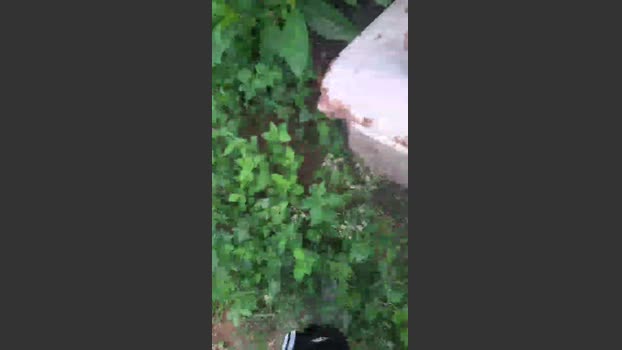 Daddy_capixaba 05-12-2025 Recorded Video sexy