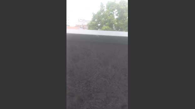 MlkPentelhud0 06-12-2025 Recorded Video beautiful